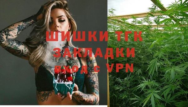 эйфоретик Алзамай