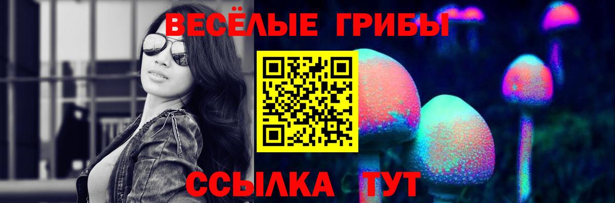 наркошоп  Вход с VPN  Обнинск  Псилоцибиновые грибы ЛСД 